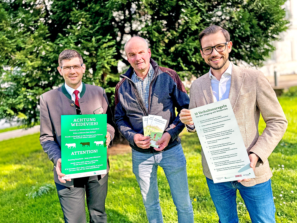 Neues Versicherungspaket für Kärntner Almen: Um Probleme abzufedern ...