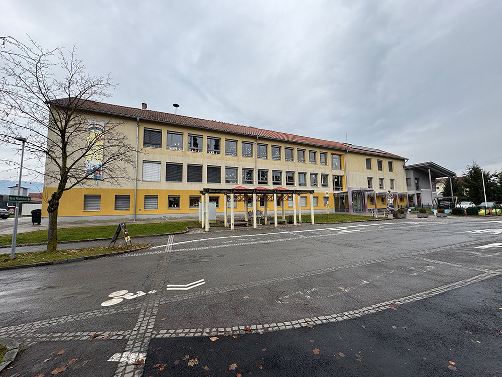 Pigeon infestation on the roof of the St. Marein elementary school: ...
